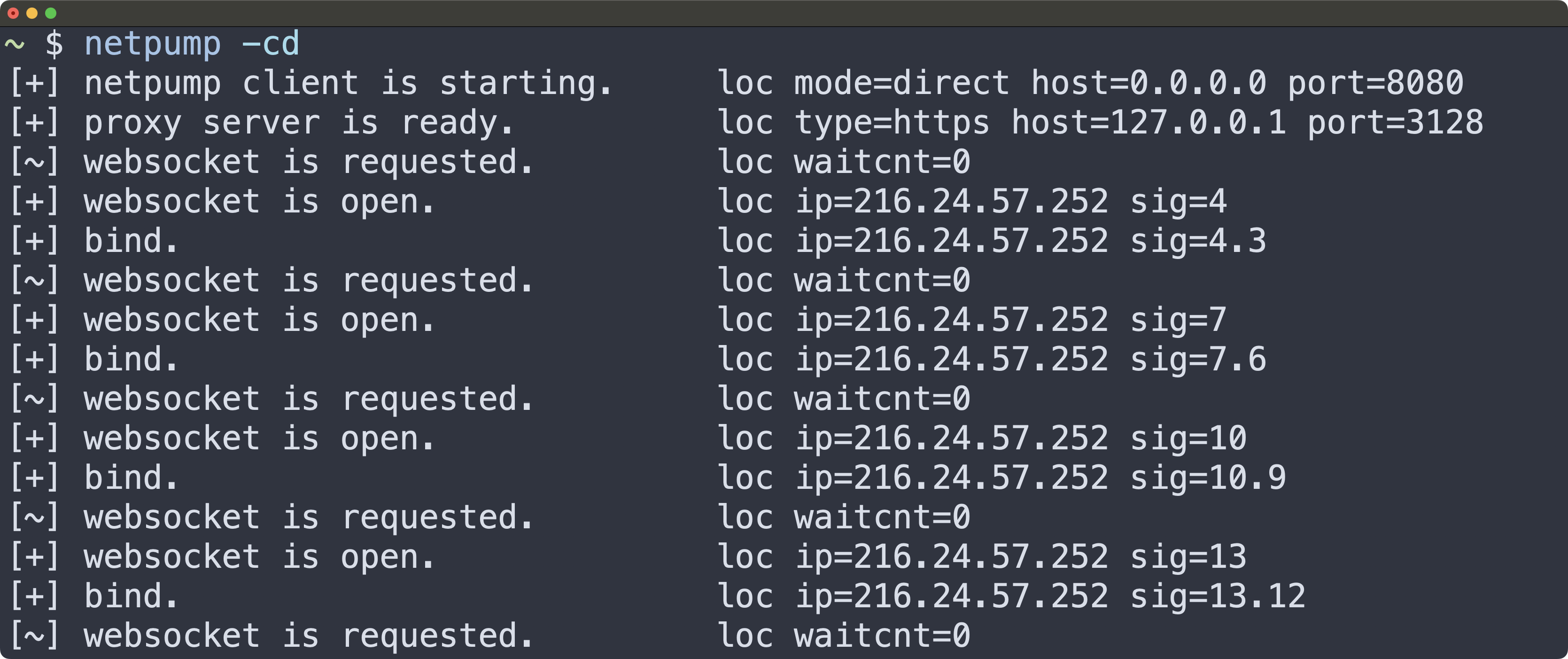Screenshot of netpump in direct mode