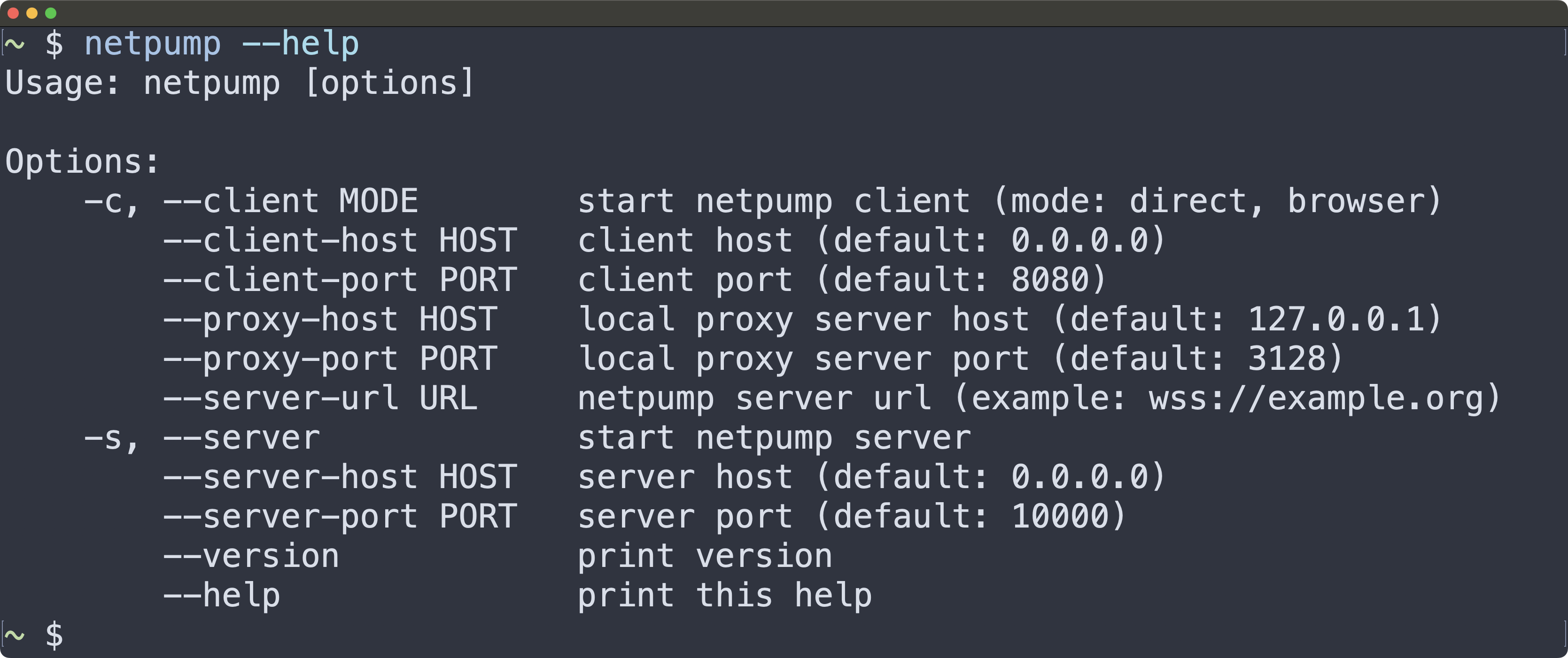 Screenshot of netpump help message