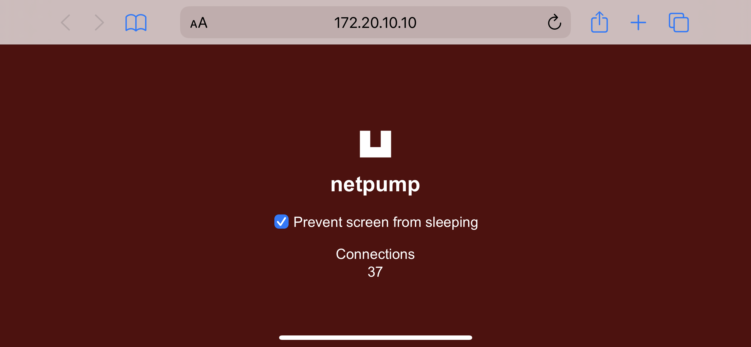 Screenshot of mobile Safari connected to netpump client